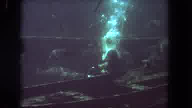 Los Angeles California USA (1962): Diver In A Massive Aquarium Being Surrounded By