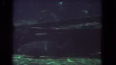 Los Angeles California USA (1962): View Of Silver Fish Swimming Underwater In