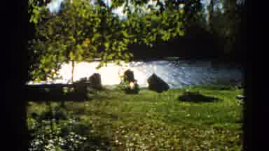 Illinois USA (1962): The Nature Was Looking So Beautiful So Many Trees Flowers