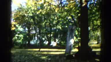 Illinois USA (1962): A Garden Look Like Very Greenish And Beautiful