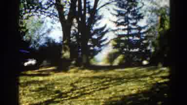 Illinois USA (1962): Panorama Of Cabin In The Woods