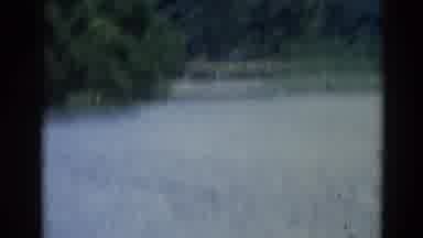 Illinois USA (1962): A Scene Of Boat Moving On Water With Trees Ahead