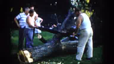 Illinois USA (1962): The Persons Are Cutting The Saw Using Saw Tool