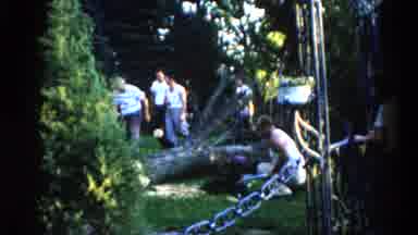 Illinois USA (1962): Men Use Power Tools To Cut Up Large Downed Tree