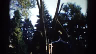Illinois USA (1962): Cutting Down Tree Outside In Backyard