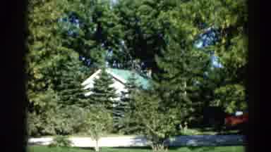 ILLINOIS USA-1962: Green Roof House Peeks Through Trees