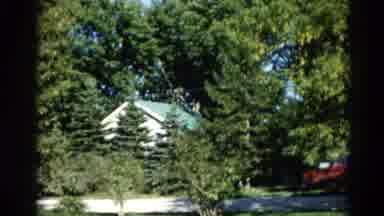 Illinois USA (1962): Trees And Shrubs Surrounding Home With Green Roof Visible