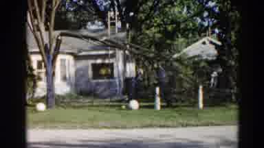 Illinois USA (1962): Man Is Sawing A Tree Limb That Has Fallen Down