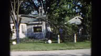 Illinois USA (1962): That Guy Jumps Up And Down Under That Tree