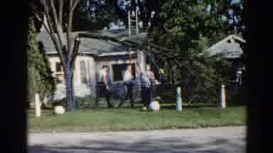 Illinois USA (1962): Three Men Attempting To Cut Down A Fallen Limb From The Tree