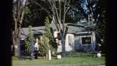 Illinois USA (1962): Two Boys Cheering Another Boy On To Climb Up A Tree In Front