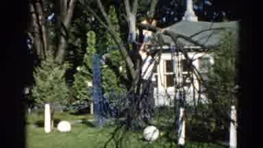 Illinois USA (1962): Tree Climbing Youngsters Making The Most Of The Natural