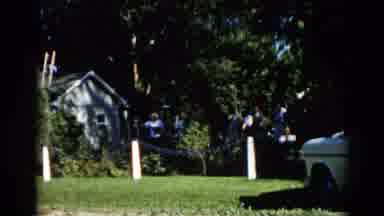 Illinois USA (1962): A Man Is On The Tree Cutting The Branches Others Were Pulling