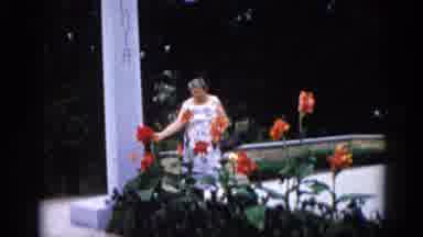 Illinois USA (1962): Older Woman In A Sundress Admiring Daily Lilies In A