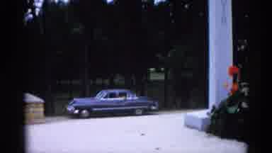 Illinois USA (1962): Woman In White Dress Standing Being Orange Flowers With Green