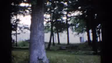 Illinois USA (1962): Family Sitting On Bench In Wooded Area