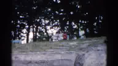 Illinois USA (1962): The Persons Are Sitting In The Park They Discussing And