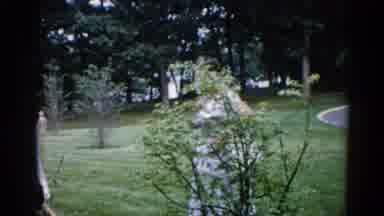 Illinois USA (1962): Some Of Two Three Women Are Finding Something In Forest Or