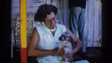 Illinois USA (1962): Old Woman And A Dog Sit Down For A Quick Rest