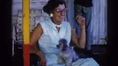 Illinois USA (1962): The Little Dog Is Sitting In Our Owner To See All Of Him
