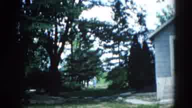 Illinois USA (1962): Backyard Watching The Trees Blowing In The Stormy Wind Gusts