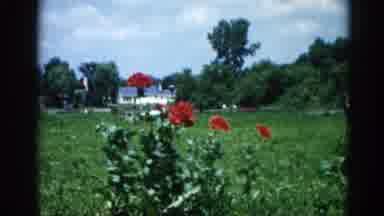 Illinois USA (1962): This Dog Is Training By His Owner To Scent What Is Around Him