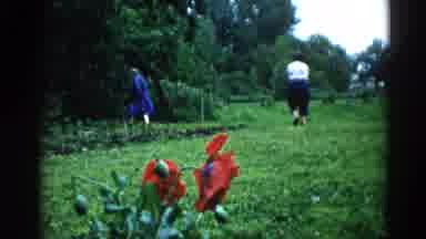 Illinois USA (1962): Two Adults Admiring Flowers In The Garden