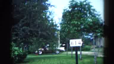 Illinois USA (1962): In The Garden The Flowers Are Blooms It Looks Like Very