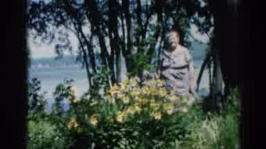 Illinois USA (1962): A Woman Standing In The Middle Of A Tree-Lined Area