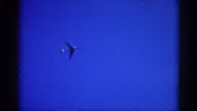 Illinois USA (1962): Video Clip Of An Airplane Flying In The Sky As The Light
