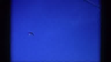 Illinois USA (1962): Airplane Flying In The Clear Bright Blue Sky While Being