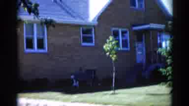 Illinois USA (1962): Newly Planted Tree In Suburban Front Yard