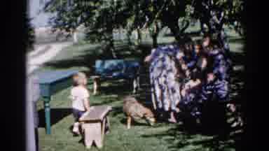 Illinois USA (1962): Woman Walks Into The Shade Where Other Women Sit As Dog Joins