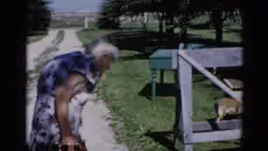 Illinois USA (1962): Family Gathering In A Park With An Elderly Woman Arriving
