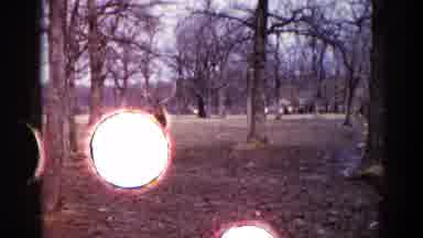 Illinois USA (1962): Elderly Gathering At A Picnic In Original Footage From The