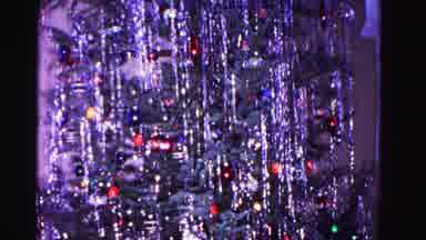 Hagerstown Maryland USA (1962): The Big Christmas Tree That Is A Hit All Over Town