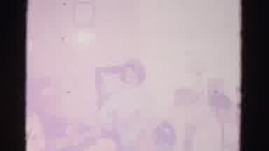 Hagerstown Maryland USA (1962): A Husband And Wife Doing Something And Decorating
