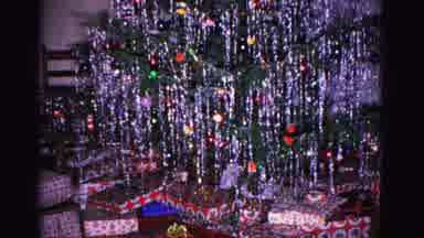 Hagerstown Maryland USA (1962): The Peoples Are Decorating The Trees For