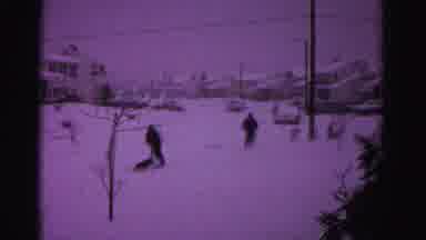 Hagerstown Maryland USA (1962): People Playing With A Dog Outside In The Snow In A