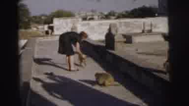 Calcutta India (1962): Woman Giving Food To A Monkey In A Open Space