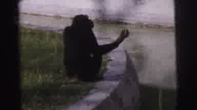 Calcutta India (1962): The Monkey Is Sitting In That Place And It Surrounded By