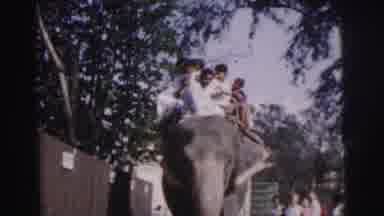 Calcutta India (1962): The Persons Are Ride In The Trained Elephant Its Travel Is