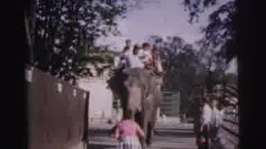Calcutta India (1962): A Scene Of People Riding On Top Of An Elephant