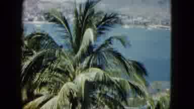 Acapulco Mexico (1962): Palm Trees Panning Up To Show A Beautiful Bay With