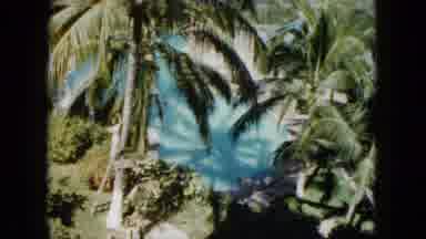 Acapulco Mexico (1962): Pool In A Hot Tropical Climate That Is Surrounded By Palm