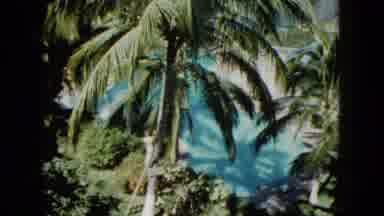 Acapulco Mexico (1962): An Art Career That Will Bring Plenty Of Sunshine To Your