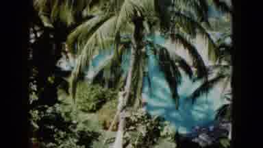Acapulco Mexico (1962): The Palm Trees Are There Its Like A Very Beautiful And