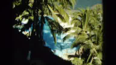 Acapulco Mexico (1962): So Many Coconut Trees Are There In The Restaurant And