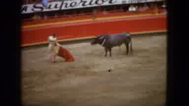 Acapulco Mexico (1962): The Cow Is Very Anger With Another Person's