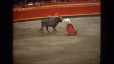 Acapulco Mexico (1962): A Wounded Animal Is Lead Around An Arena By A Matador